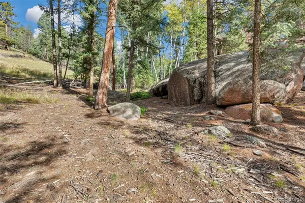 926 Pinon LN, Florissant, CO 80816