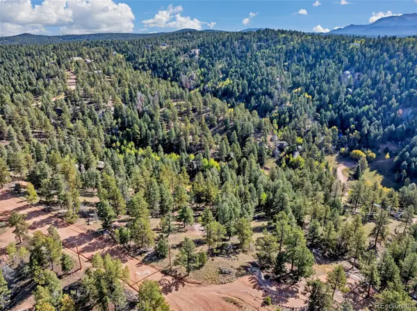 926 Pinon LN, Florissant, CO 80816