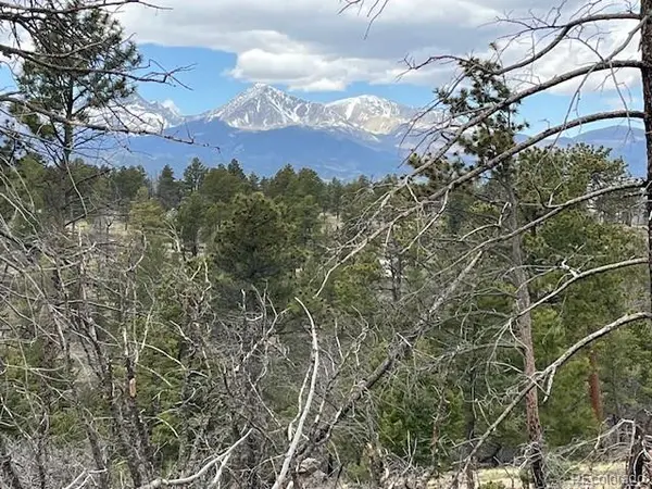Lot 513 Leslie LOOP, Fort Garland, CO 81133