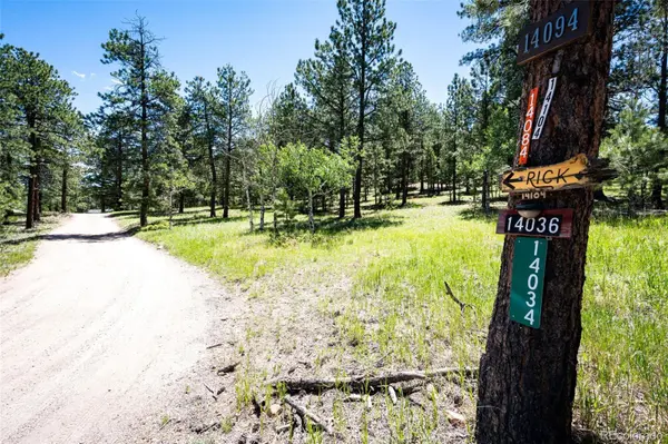 S Wandcrest DR, Pine, CO 80470