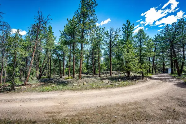 S Wandcrest DR, Pine, CO 80470