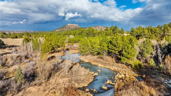 436 Fox Farm RD, Larkspur, CO 80118