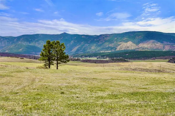 1 S Perry Park RD, Larkspur, CO 80118