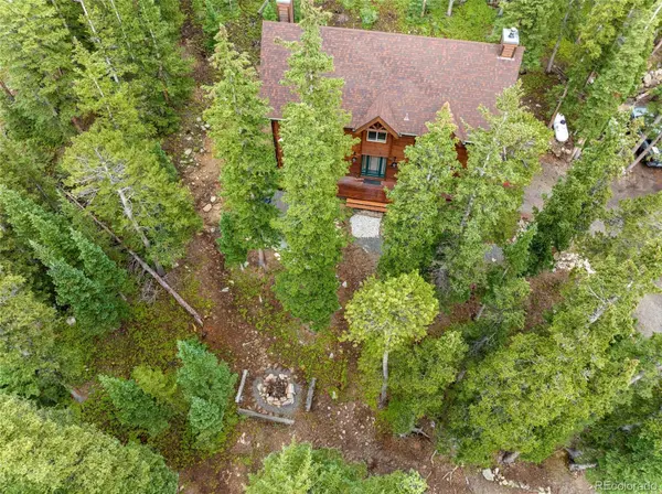 592 Brook DR, Idaho Springs, CO 80452