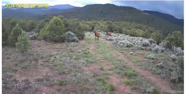 Lots 8-9 Mountain Ridge LN, San Luis, CO 81152