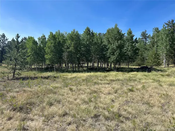 565 Hayhook WAY, Hartsel, CO 80449