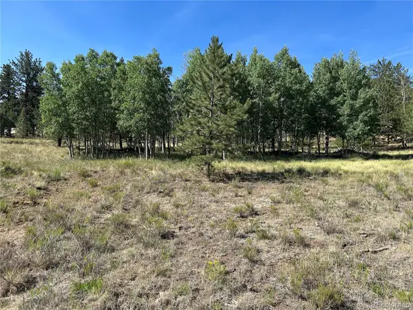 565 Hayhook WAY, Hartsel, CO 80449