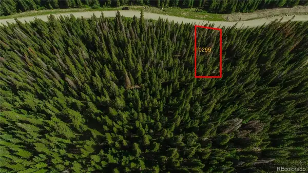 299 CR 805, Breckenridge, CO 80424