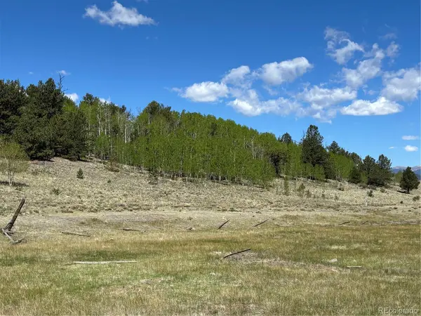 157 Crow CT, Como, CO 80432