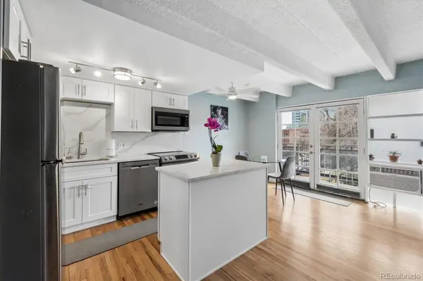 33 N Corona ST #406, Denver, CO 80218
