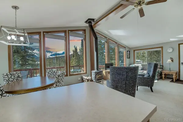 394 CO RD 14A, Fairplay, CO 80440