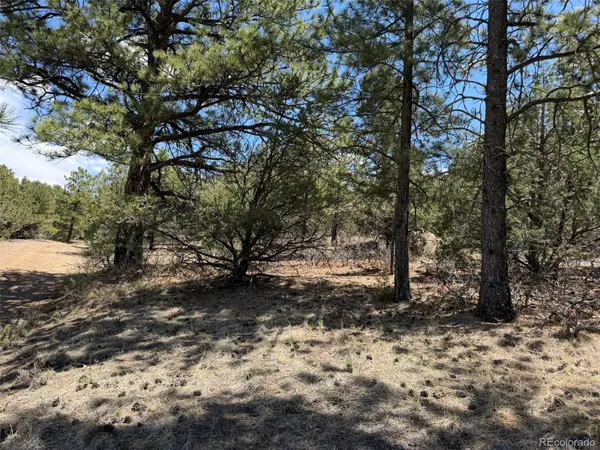 477 Bear Peak RD, Westcliffe, CO 81252