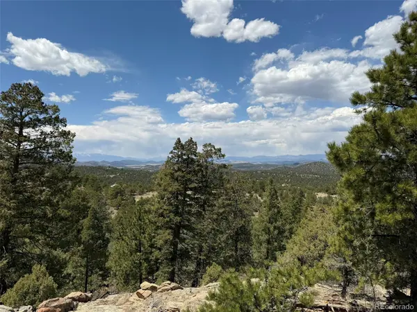 477 Bear Peak RD, Westcliffe, CO 81252