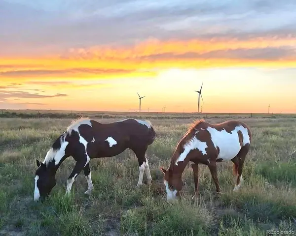 53647 County Road 36.4, Genoa, CO 80818
