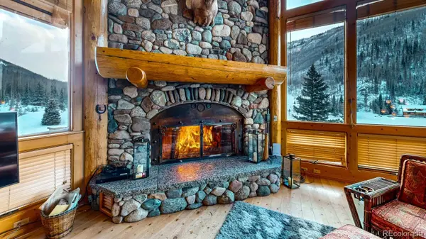 2418 Forest Rd 526, Creede, CO 81130