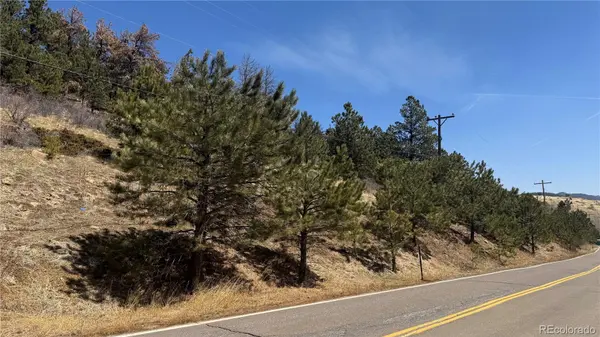 023 Eureka ST, Central City, CO 80427