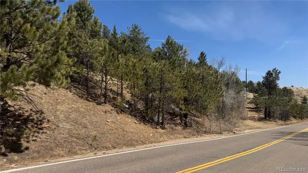 023 Eureka ST, Central City, CO 80427