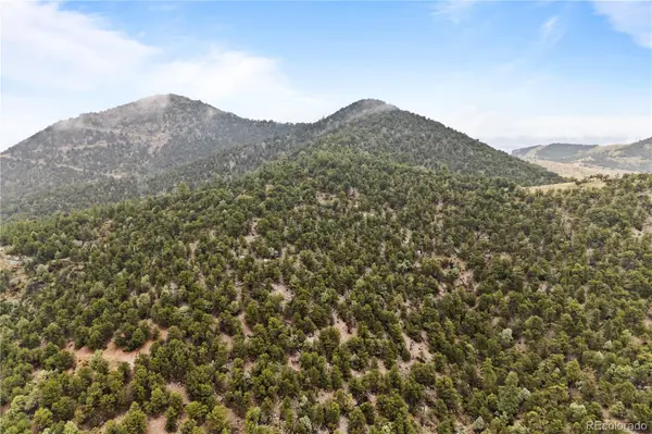 2125 J Path, Cotopaxi, CO 81223