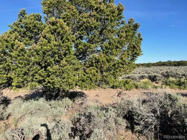 Lot 7138 Dunklau RD, Fort Garland, CO 81133