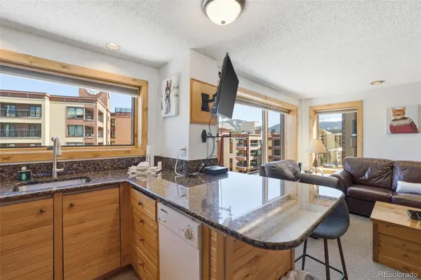 535 S Park AVE #505, Breckenridge, CO 80424