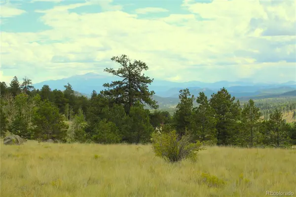Hwy 24, Hartsel, CO 80827