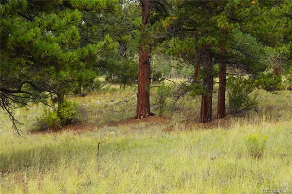Hwy 24, Hartsel, CO 80827