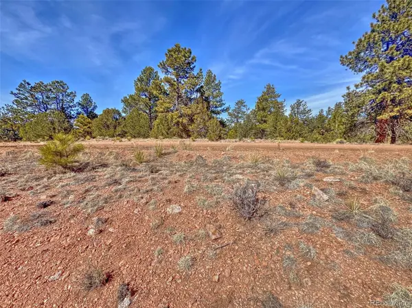 426 Arapaho RD, Westcliffe, CO 81252