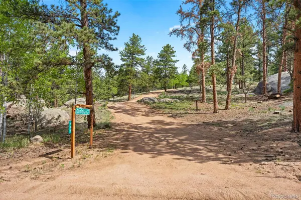 605 Obsidian DR, Florissant, CO 80816