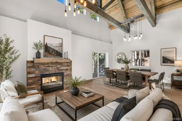 141 N Aspen ST, Alma, CO 80420