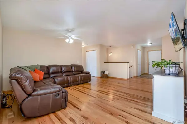 3779 Mount Meeker ST, Wellington, CO 80549