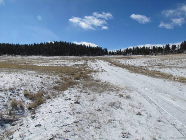 0 Athapascan RD, Hartsel, CO 80449