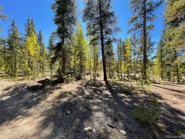 200 Virginia AVE, Leadville, CO 80461