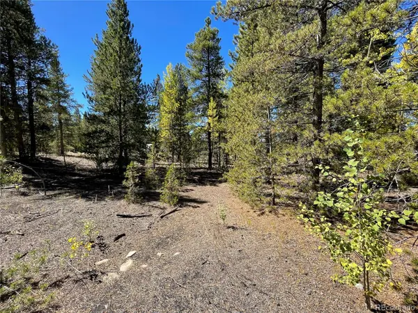 200 Virginia AVE, Leadville, CO 80461