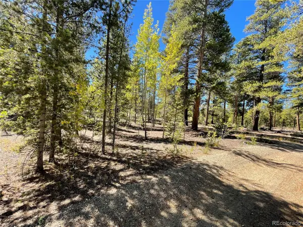 200 Virginia AVE, Leadville, CO 80461