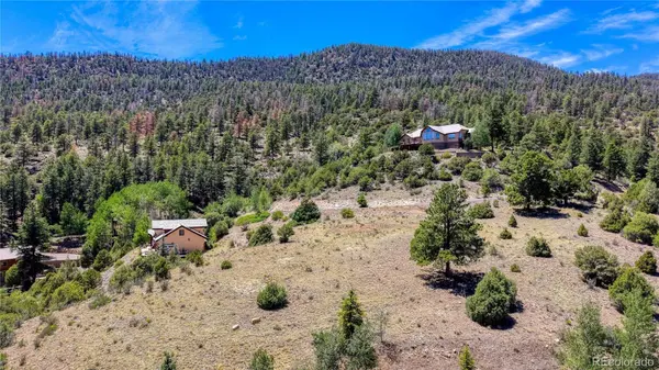 366 Timberline TRL, South Fork, CO 81154