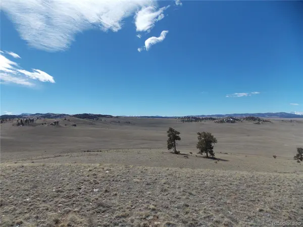 Lot 5795 Guipago TRL, Hartsel, CO 80449