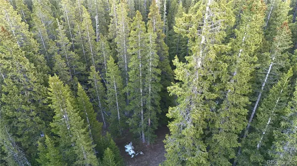 210 Silverheels PL, Fairplay, CO 80440