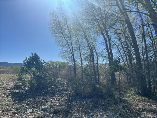 CR 361A, Buena Vista, CO 81211