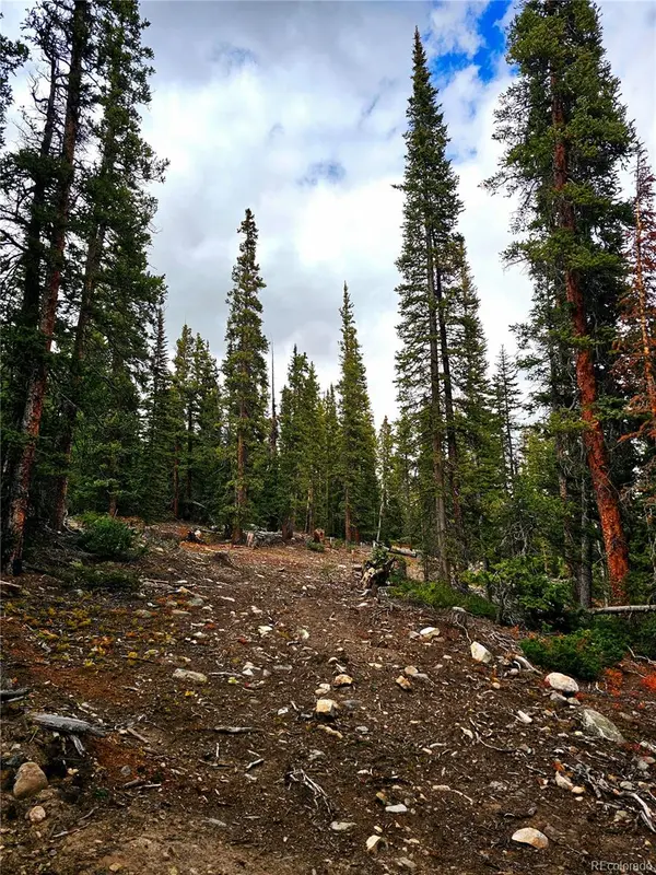 387 El Lobo LN, Fairplay, CO 80440