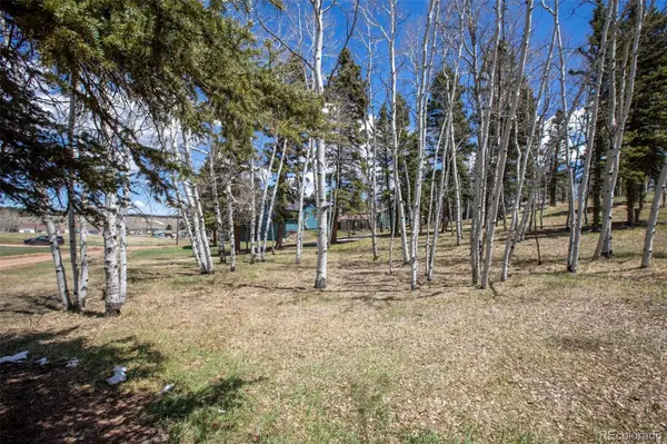 571 Will Scarlet DR, Divide, CO 80814