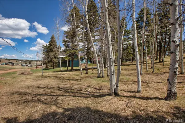 571 Will Scarlet DR, Divide, CO 80814