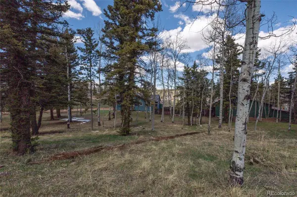 571 Will Scarlet DR, Divide, CO 80814