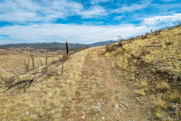 31st TRL, Cotopaxi, CO 81223