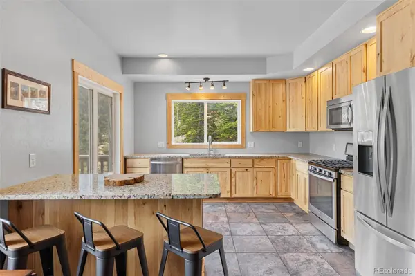 52 Coot PL, Alma, CO 80420