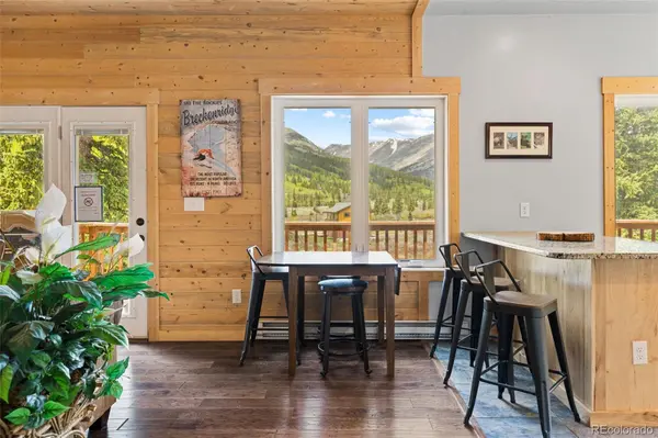 52 Coot PL, Alma, CO 80420