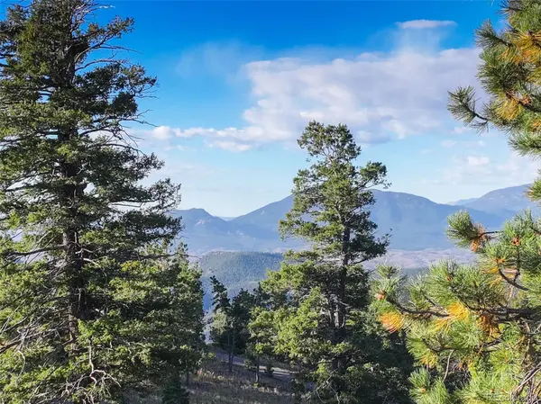 23047 Big Game TRL, Conifer, CO 80433