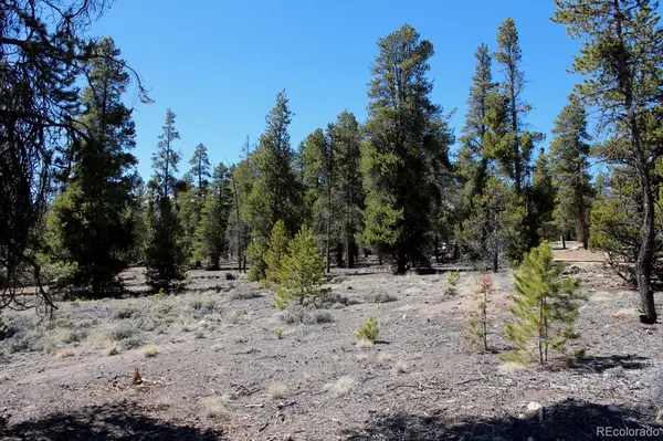 104 Cedar DR, Twin Lakes, CO 80461