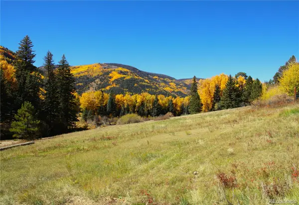 38938 Nf-250, Antonito, CO 81120