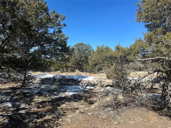 1223 Brookview WAY, Crestone, CO 81131