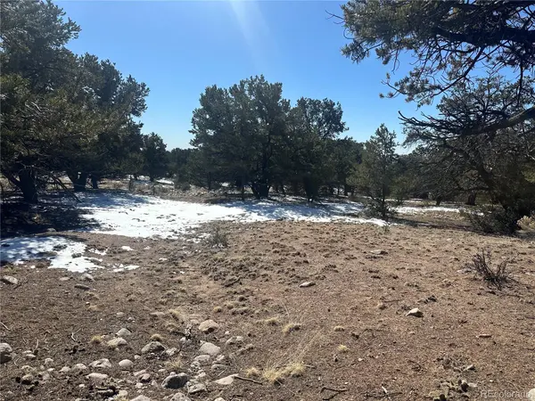 1223 Brookview WAY, Crestone, CO 81131